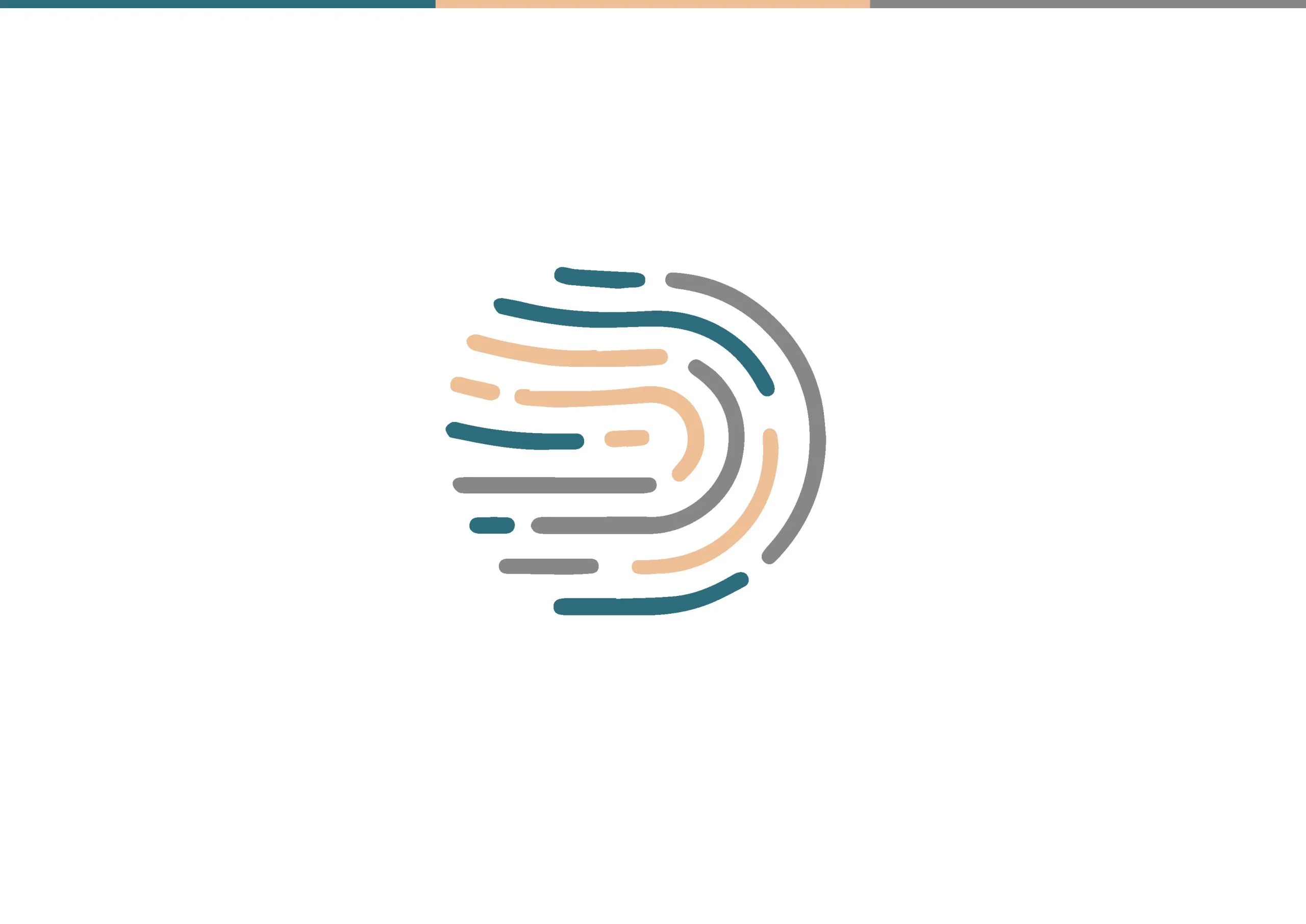 Singulares Espacios de Sexualidad y Afectividad Identidade Visual Marca